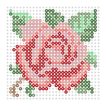 Rosenblüte Bügelperlen Vorlage